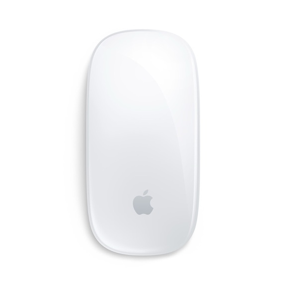 Apple Magic Mouse with Multi-Touch in Silver and White